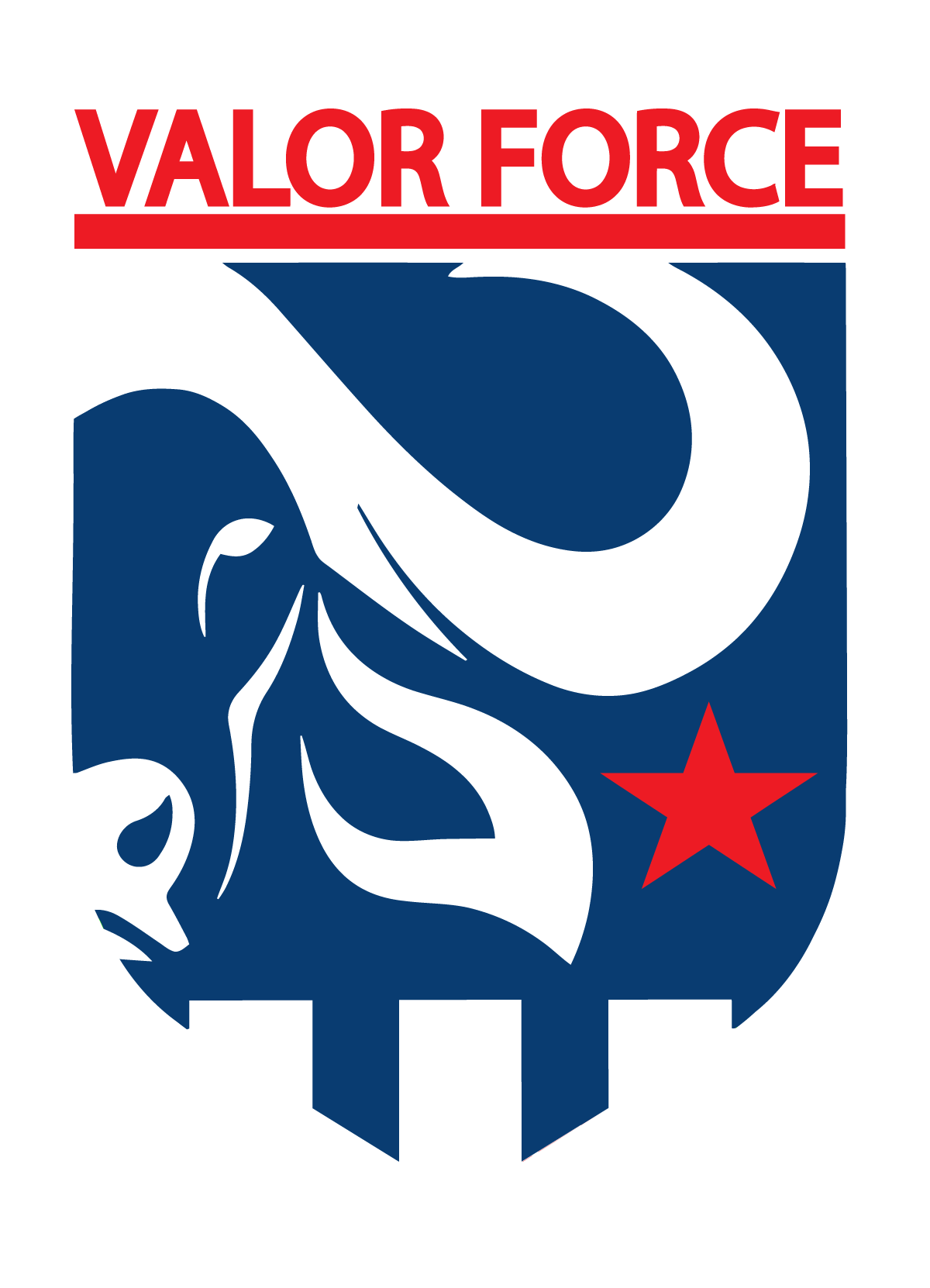 Valor Force